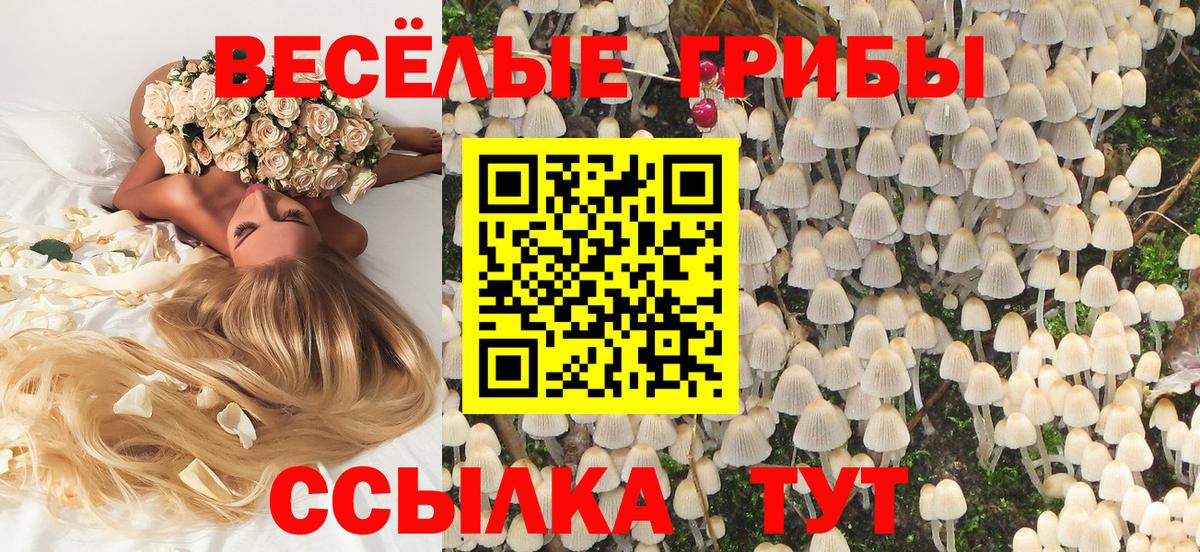 Елабуга  Псилоцибиновые грибы мухоморы  Вход с VPN 